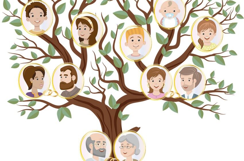  Genealogical tree: what it is and how it is made