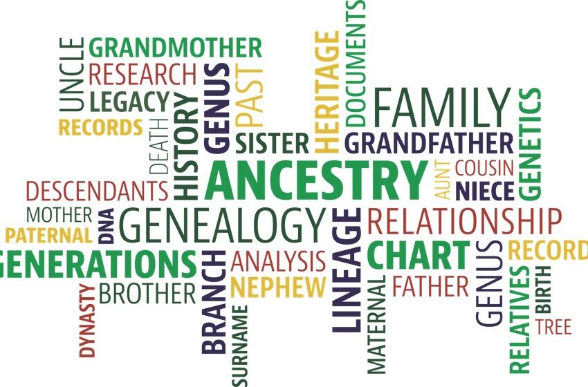  How to make a genealogical tree: on your own and for free