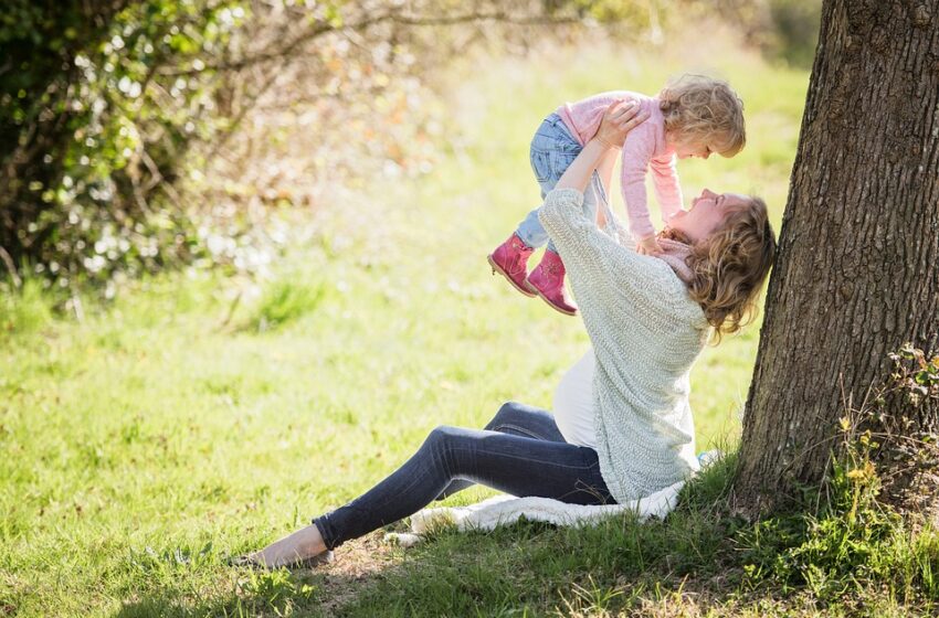  Ancestral Connections: The Ultimate Guide to Creating Your Family Tree